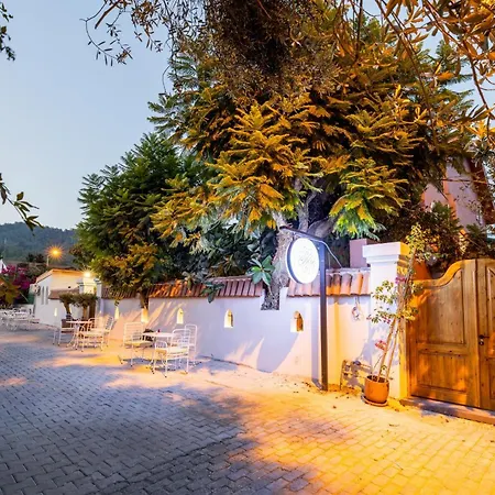 Yonca Anjelika מלון גוג'ק