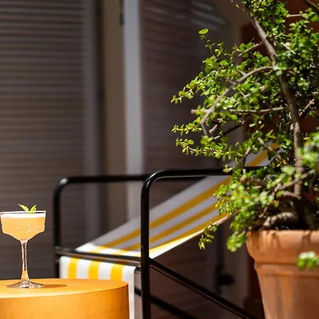 Yonca Anjelika מלון *