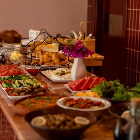 Yonca Anjelika غوجيك