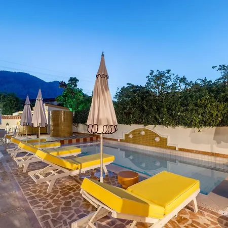 فندق Yonca Anjelika غوجيك